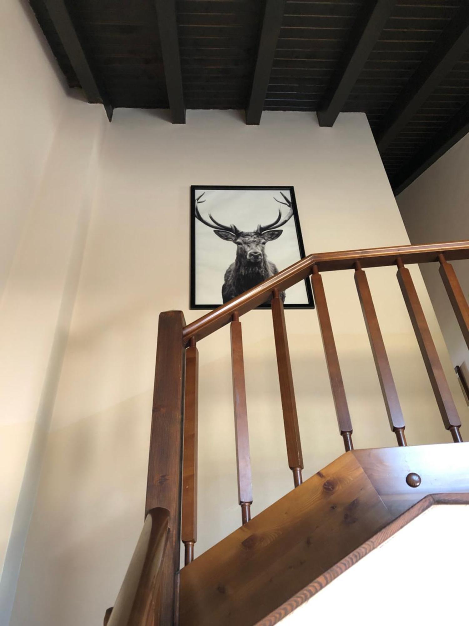 Casa Rural Mollo, Vall De Camprodon ภายนอก รูปภาพ