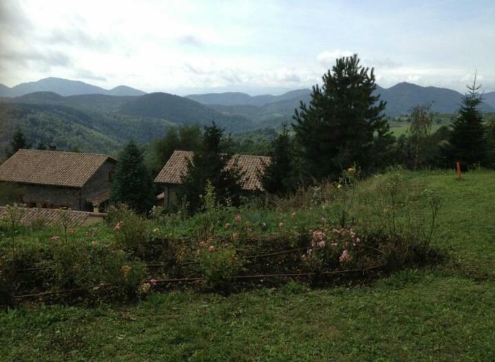 Casa Rural Mollo, Vall De Camprodon ภายนอก รูปภาพ