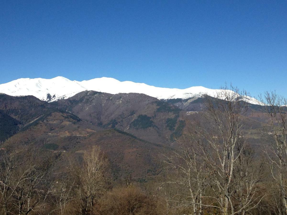 Casa Rural Mollo, Vall De Camprodon ภายนอก รูปภาพ