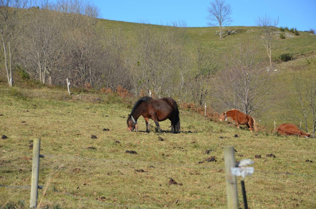 Casa Rural Mollo, Vall De Camprodon ภายนอก รูปภาพ